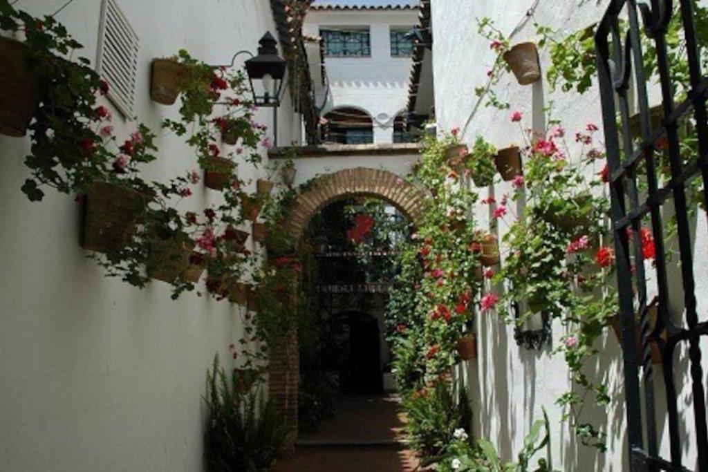 La Casita Azul Appartement Alicante Buitenkant foto